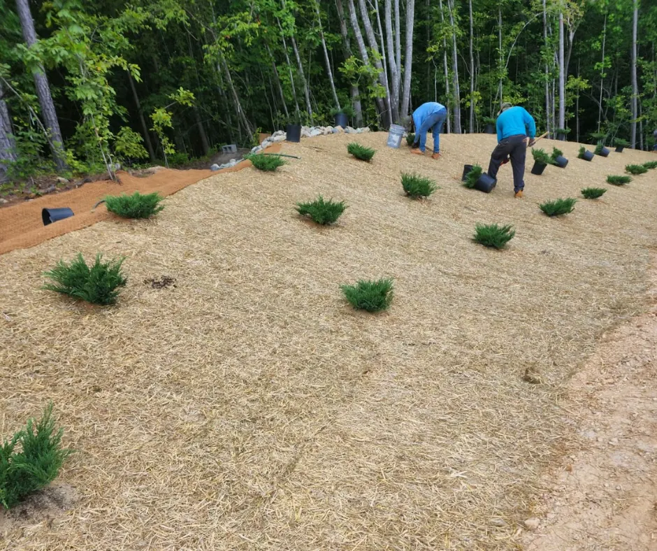Double net matting on a stabilized slope