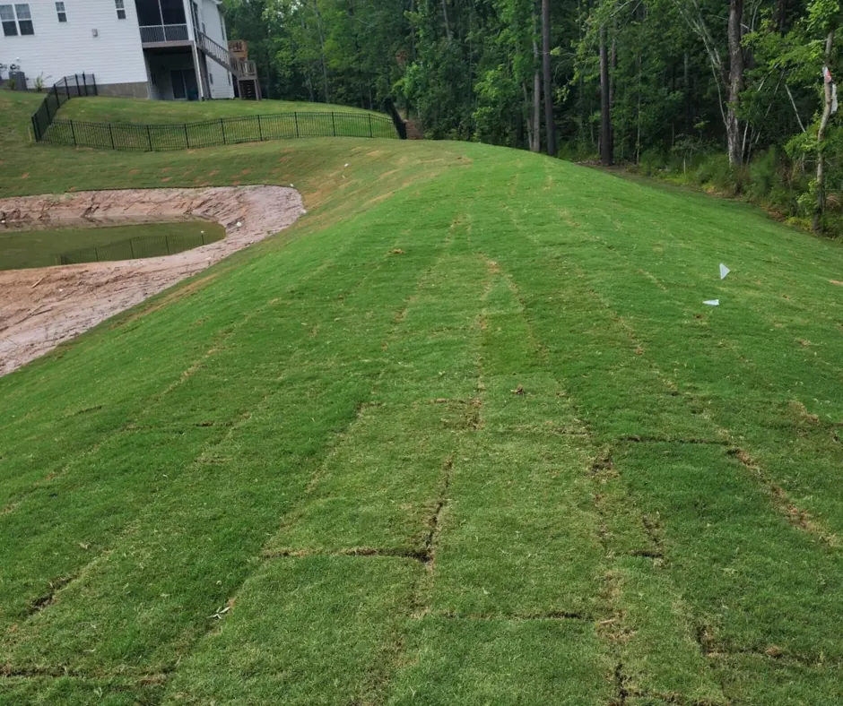 Freshly installed sod stabilizing a graded slope on a North Carolina project