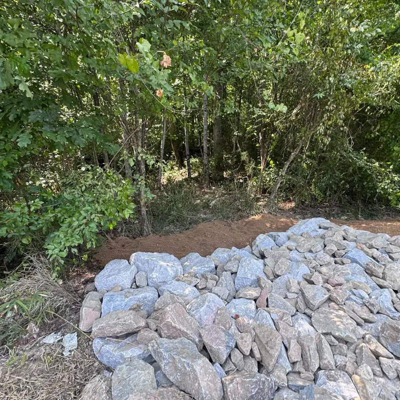Rip-rap dissipator channel leading into a wooded buffer area