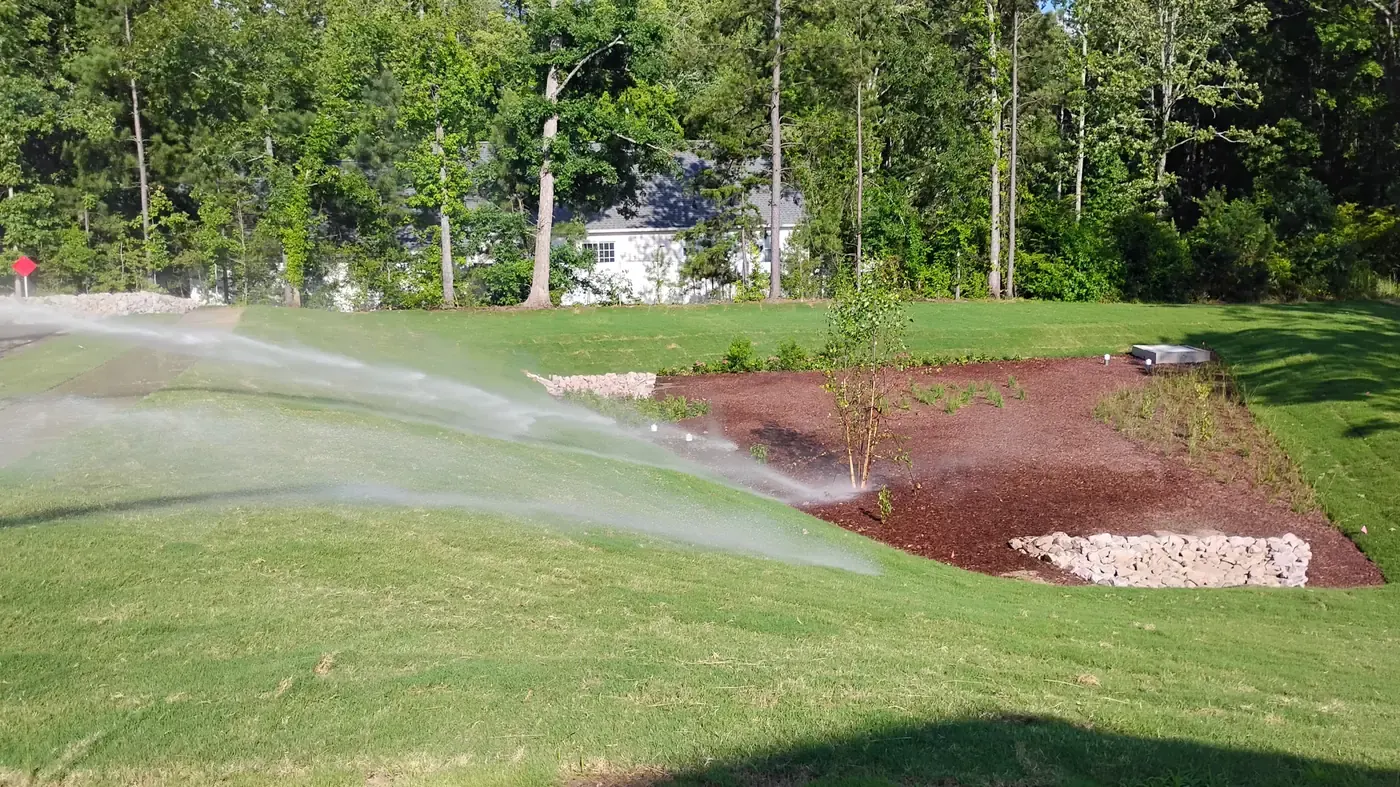 Completed bioretention basin with sod and landscaping after Delcid's pond conversion work