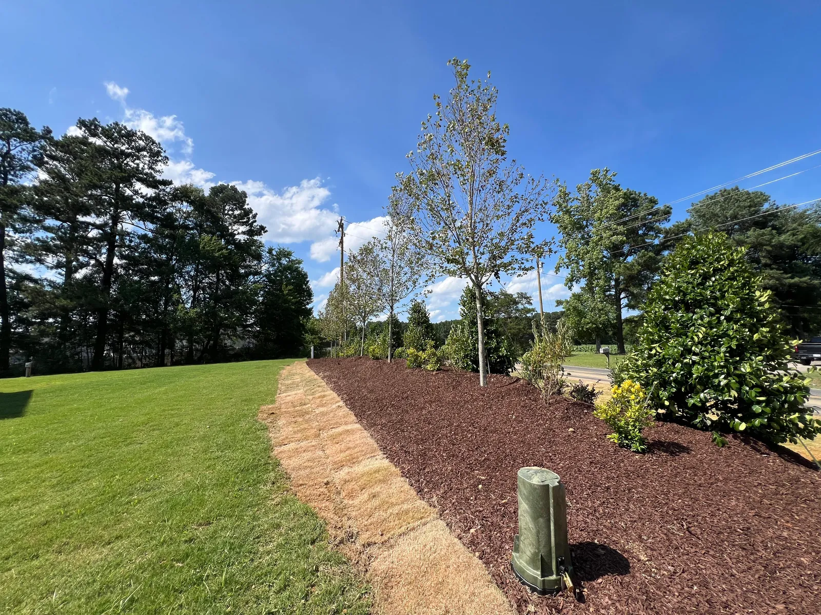 Vivid green lawn and mulch beds at a finished Sauls Landing property