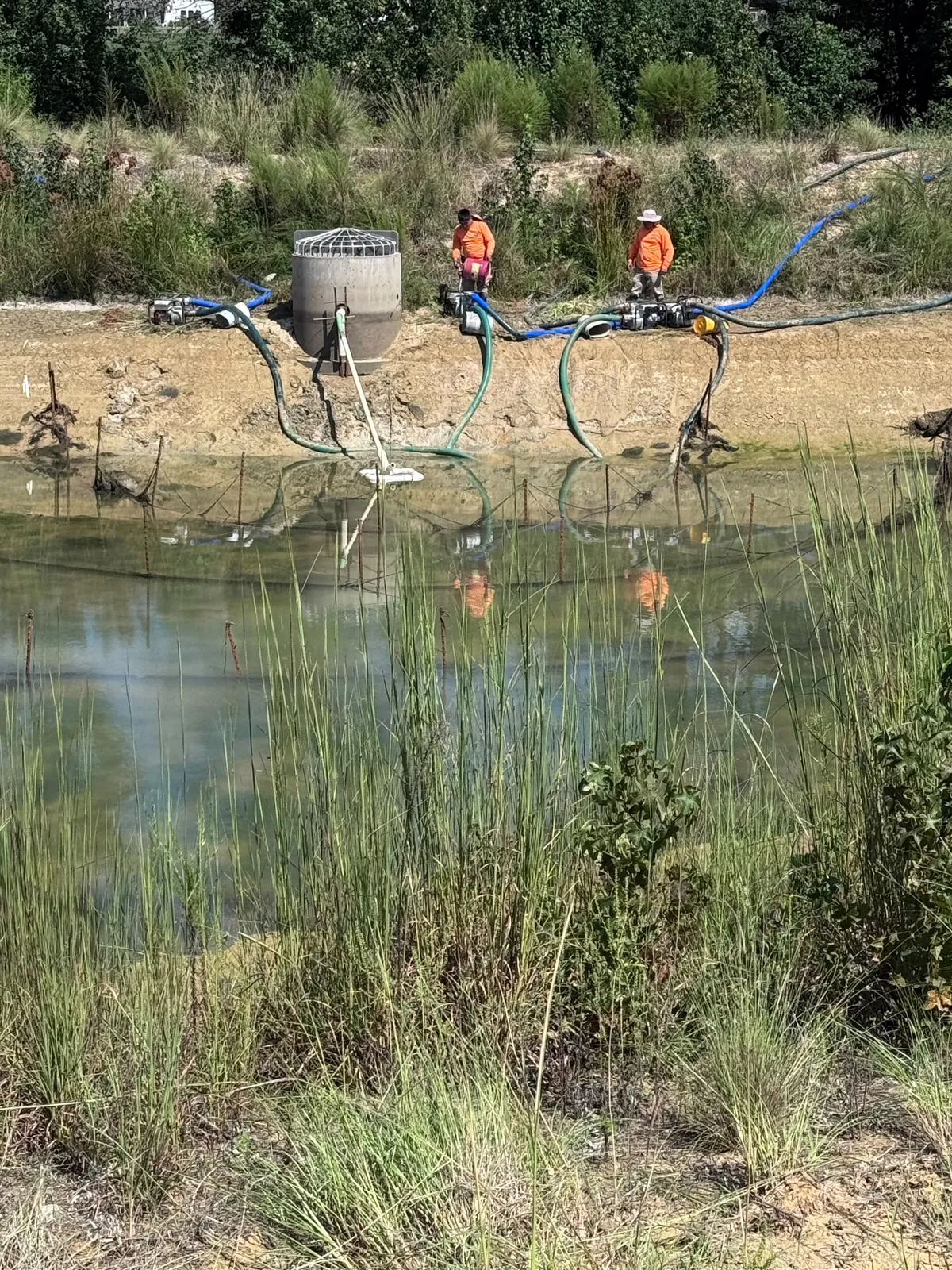 Crew dewatering a pond with multiple pumps at Nathans Ridge Pond