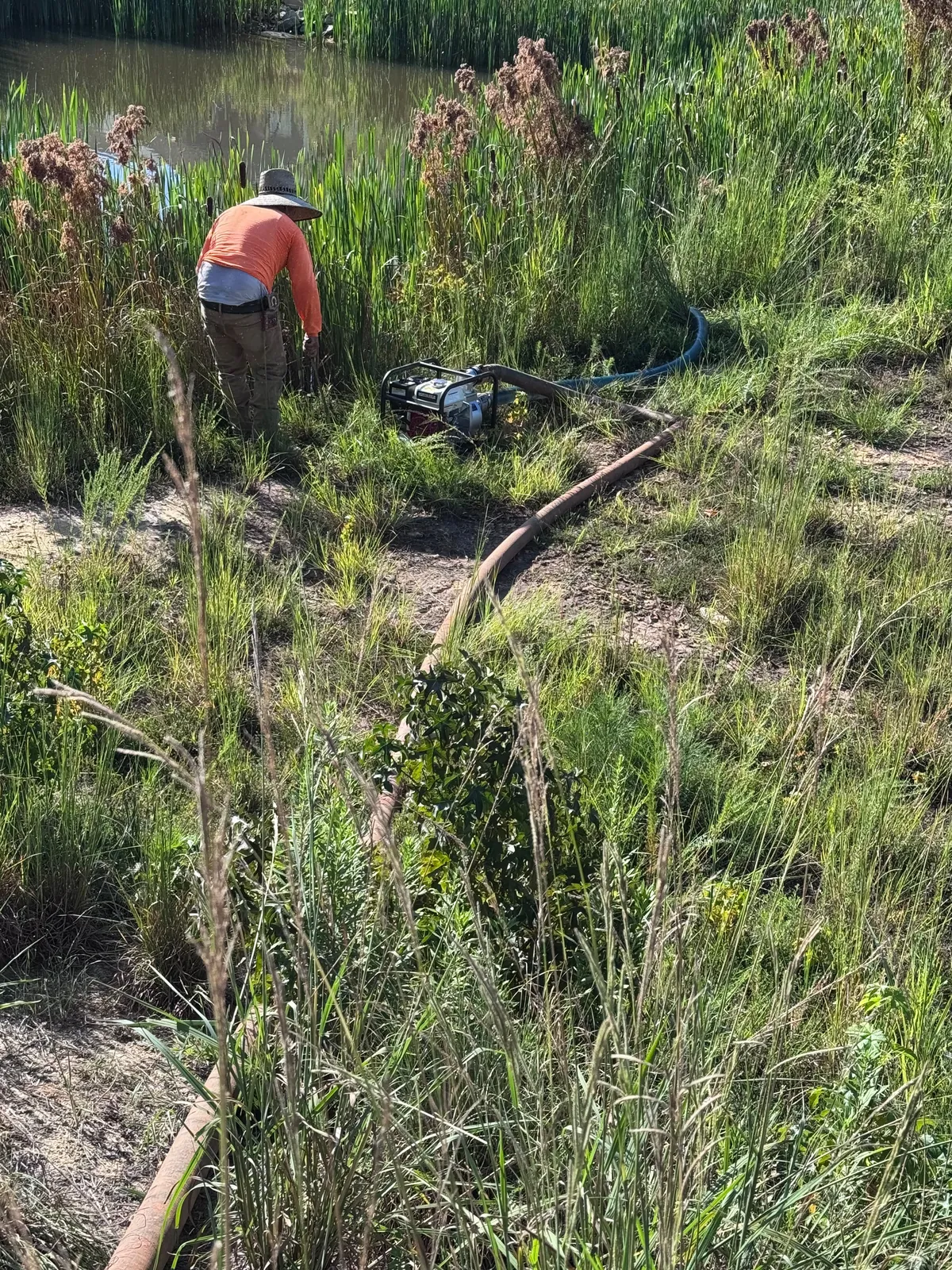 Crew dewatering a pond at Nathans Ridge Pond